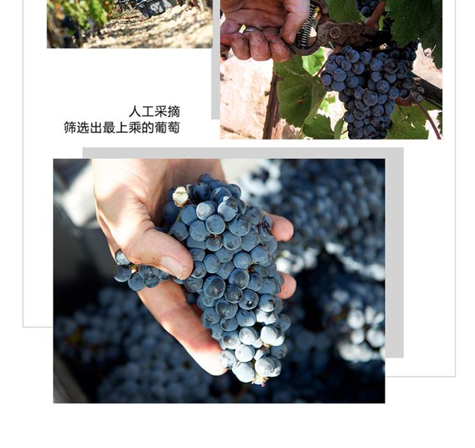 詳情_(kāi)朗格多克_B_3_02