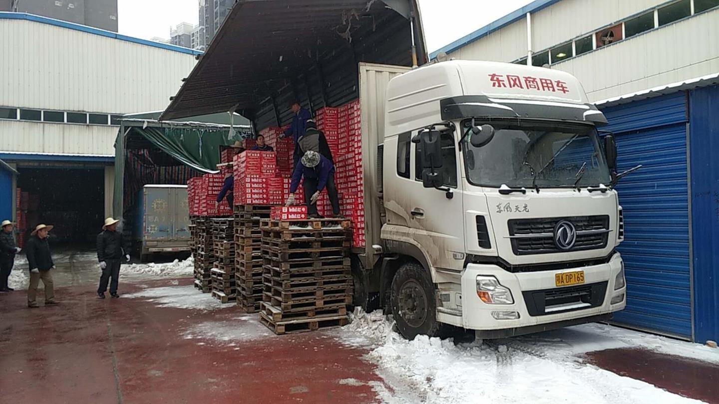 1CF7A0A1E7BDC4924A91600E4A4EE676