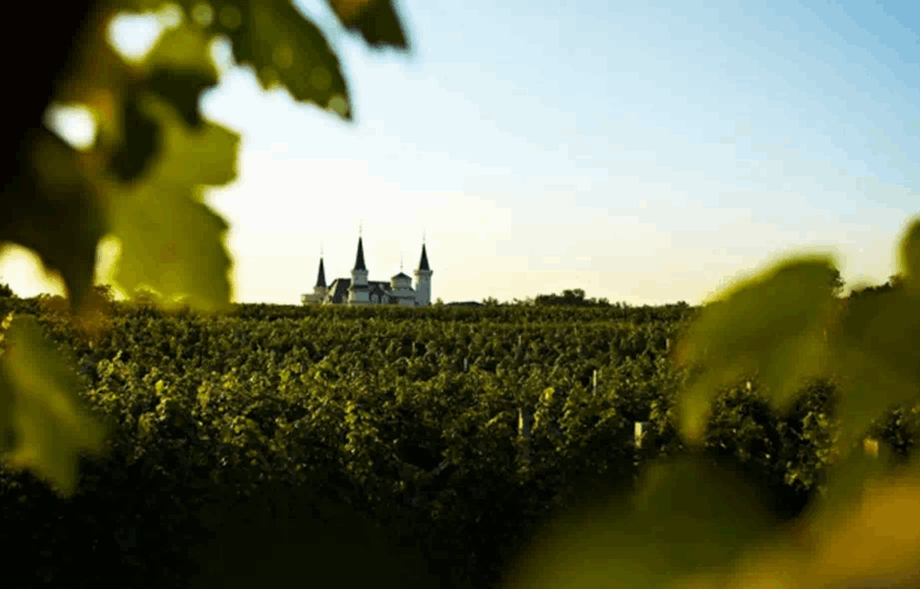 QQ圖片20180903102119