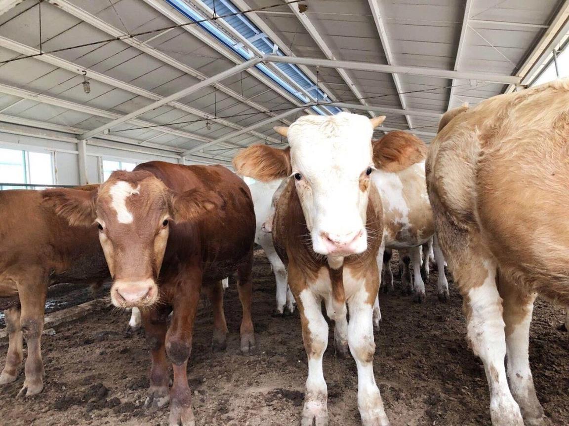 QQ圖片20180904145410