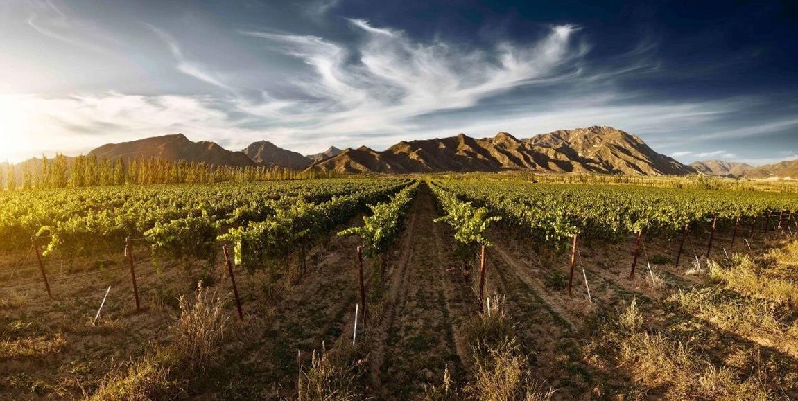 QQ圖片20191129145137