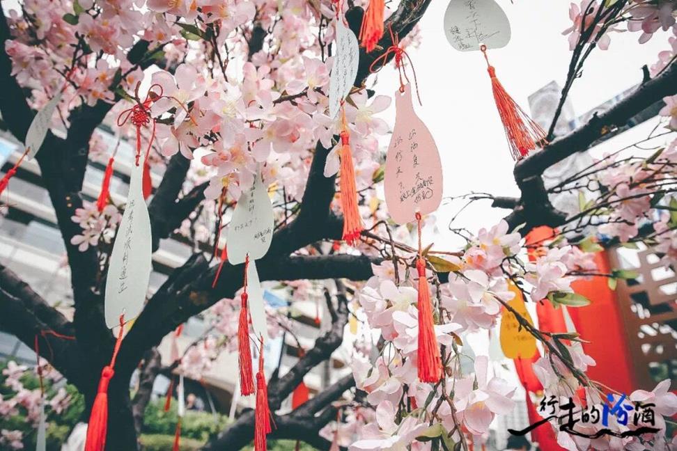 QQ圖片20191206163637