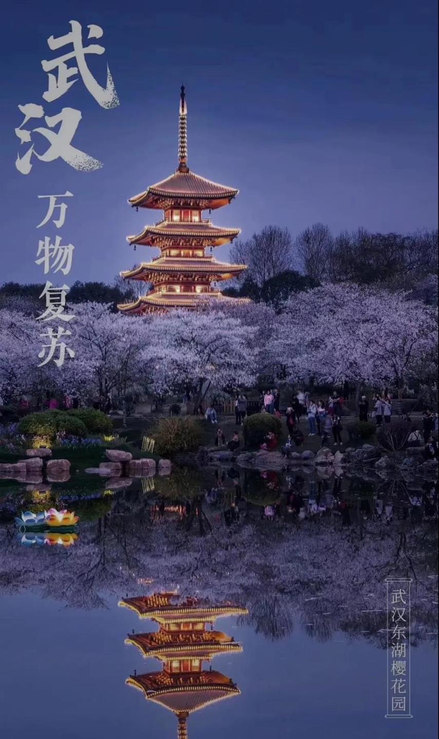 微信圖片_20200408181608 - 副本