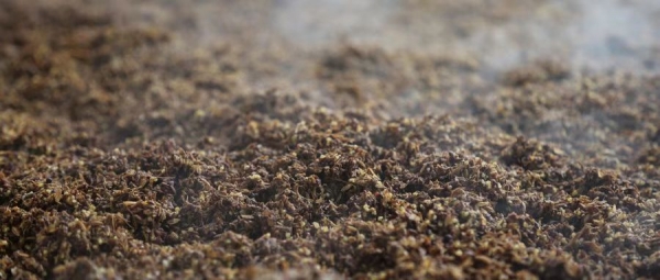 webwxgetmsgimg_副本