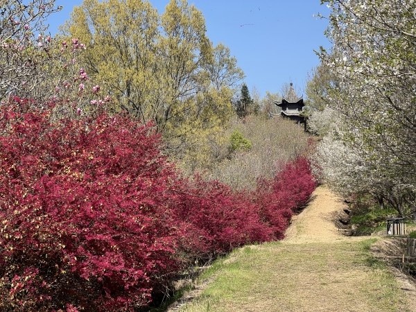 微信圖片_20250326161020_副本